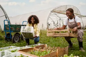 Agro-Allied & Farming Solutions
